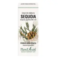 SEQUOIA - mladite - gemoderivat - 50ml - PlantExtrakt