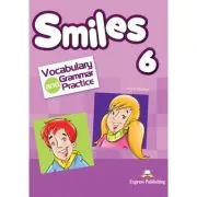 Curs limba engleza Smiles 6 Vocabular si Gramatica