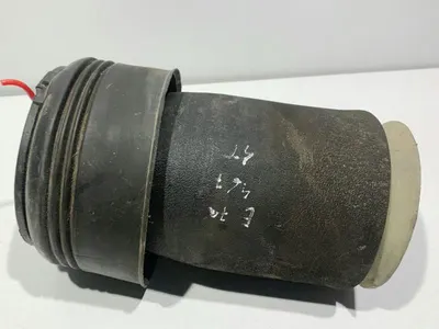 Perna de aer stanga spate BMW X5 (2007-2013) [E70]