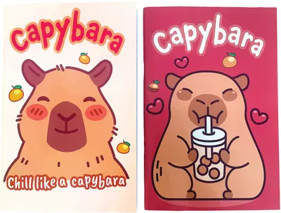 Caiet GIM Capybara - Boba Chill, B5, 40 foi, asortiment