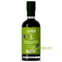 Otet Balsamic Autentic de Modena Densitate ≈ 1.13 Ecologic/Bio 250ml