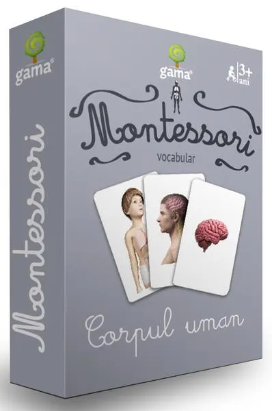 Corpul uman. Cărţi de joc Montessori - Board book