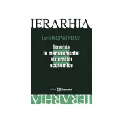 Ierarhia in managementul sistemelor economice