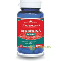 Berberina Forte 60cps