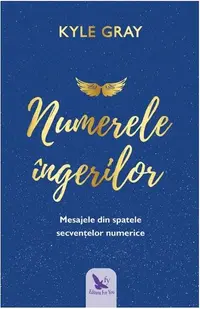 Numerele îngerilor - Paperback brosat - Kyle Gray