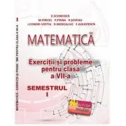 Matematica. Exercitii si probleme pentru clasa a 7-a, semestrul 1