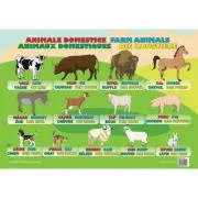 Animale Domestice