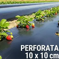 Folie de mulcire 1 m, 30 microni - neagră, perforată, rolă 1000 m