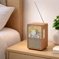 Radio NNS NS-900 BT cu Bluetooth – Radio AM/FM/SW cu difuzor încorporat și baterie reîncărcabilă 1200 mAh