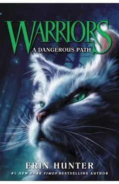 Warriors #5: A Dangerous Path