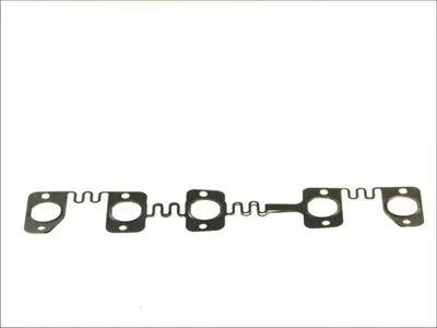 Garnitura galerie evacuare (4 cilindri: 1; 2; 3; 4; 5; 6; 7; 8; 9; 10) potrivit VW PHAETON, TOUAREG 5.0D 10.02-05.10