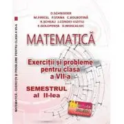 Matematica. Exercitii si probleme clasa a 7-a Semestrul al 2-lea