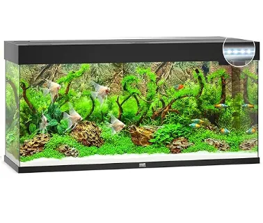 Juwel Acvariu Led Rio 240 Negru