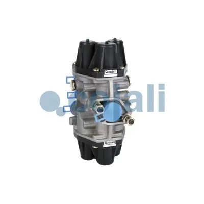 Cojali 2222304