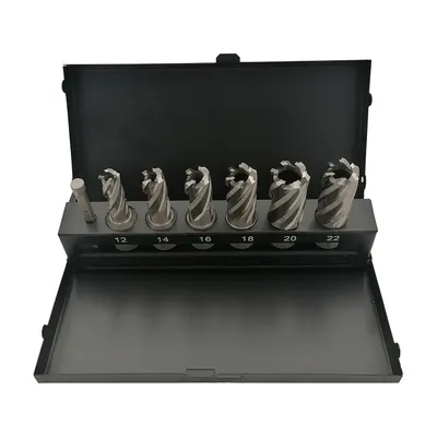 Set-Trusa Carote HSS cu prindere WELDON și pin centrare - 7 piese