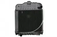 Radiator motor potrivit CASE IH CS 420.81 420.82 420.83 01.88-12.04