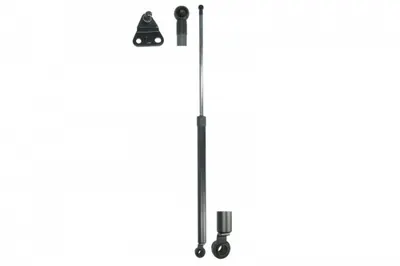 Amortizor portbagaj, haion, spate stanga, 3 usi, HONDA CIVIC VI Hatchback 1995-2001