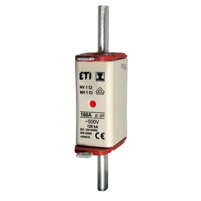 Nh-I Nh1c/i Gg 100a/500v