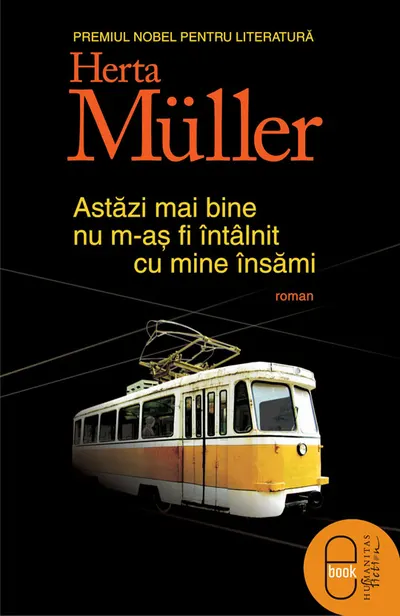 Astazi mai bine nu m-as fi intalnit cu mine insami (pdf)