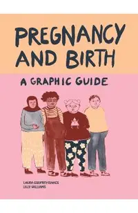 Pregnancy and Birth: A Graphic Guide