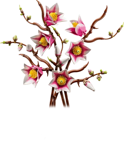LEGO Botanicals - Magnolia Branches (11510)