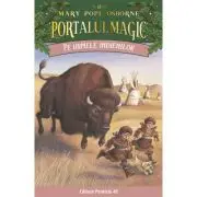 Pe urmele indienilor. Portalul Magic nr. 18