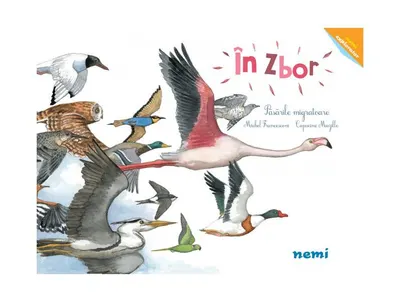 În zbor - Hardcover - Capucine Mazille, Michel Francesconi