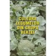 Cultura legumelor din grupa verzei