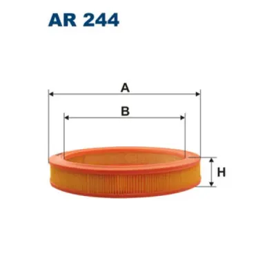 Filtru aer FILTRON AR 244