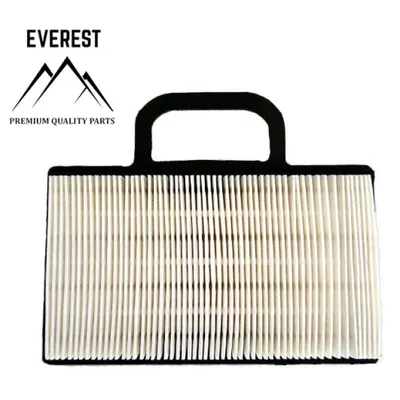 Filtru de Aer Briggs&stratton Intek 2 Cilinri Valiza Everest