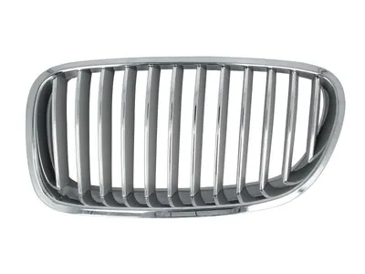 Grila radiator Stanga potrivit BMW 5 (F10), 5 (F11) 2.0-4.4 2009-2017 - (argintiu/crom)
