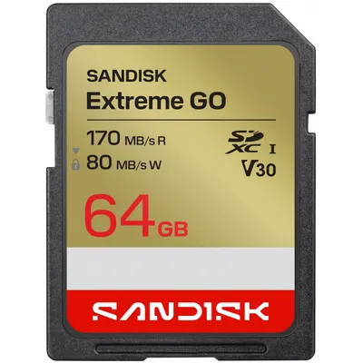 Card Memorie SDXC SanDisk Extreme Go, 64Gb, Clasa 10 / UHS-1 U1 SDSDXGN-064G-GNCIN