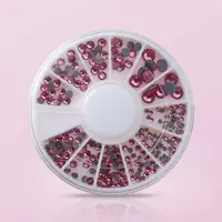 Disc Pietricele Nail Art Roz L24