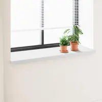 vidaXL Prag de fereastră Alb 160 x 50 x 4,5 cm PVC