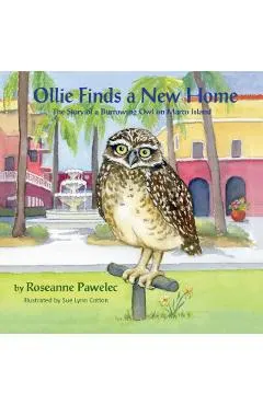 Ollie Finds a New Home, The Story of a Burrowing Owl on Marco Island