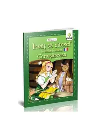 Cenușăreasa - Paperback - ***