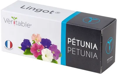 Umplutură sol Veritable - Lingot, Petunie comestibilă, fără OMG
