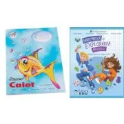 Pachet Caiet tip 2 Pestisor A5, 48 file, Casa Tipografica si Manual Matematica si explorarea mediului pentru clasa a 2-a