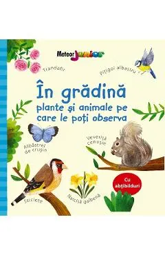 In gradina. Plante si animale pe care le poti observa