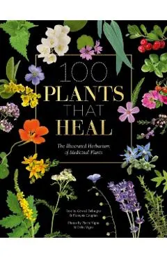 100 Plants That Heal: The Illustrated Herbarium of Medicinal Plants