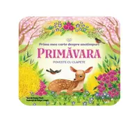 Bebe învață. Prima mea carte despre anotimpuri. Primăvara - Hardcover - Rusty Finch