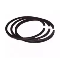 Segmenti motor Briggs - Stratton, 65.11 mm, ( 2 x 1.97, 1 x 4.72 )