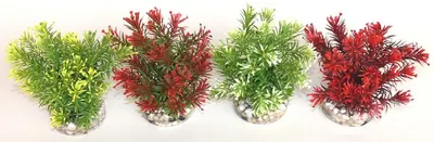 Sydeco Plante Jungle Small 15cm 633