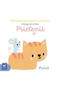 Prietenii! Atinge si simte. Carticica mea pentru carucior