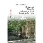 Pe sub nucii Mitropoliei. O istorie a Strazii Principatele Unite