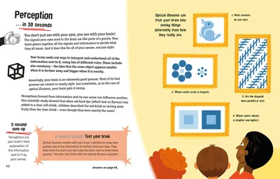 The Human Brain in 30 Seconds