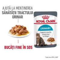 ROYAL CANIN Urinary Care Adult, hrană umedă pisici, sănătatea tractului urinar, (în sos), 85g