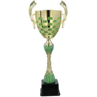 Cupa NT1100