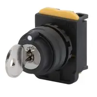 Round Key Selector Wit Fixed Position and Removable Key - Type 0-1 - 2 Moduls
