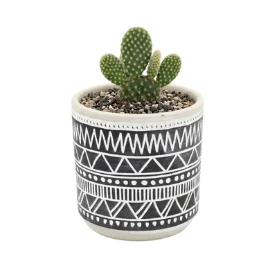 Ghiveci ceramică 9x9 cm model linii simetrii